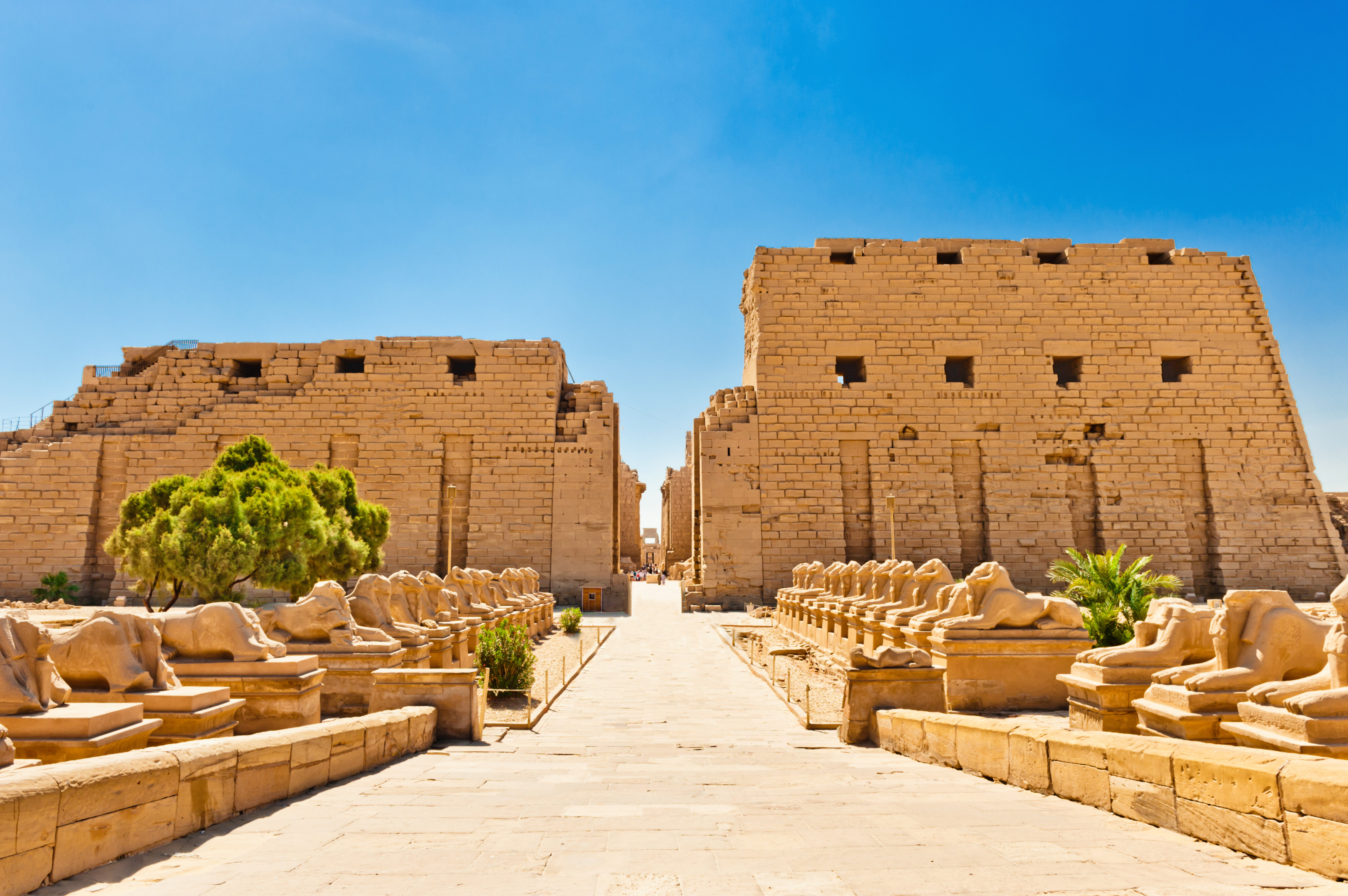 (BAY EMIRATES) CAIRO - BAHARIYA - LUXOR - BIỂN ĐỎ