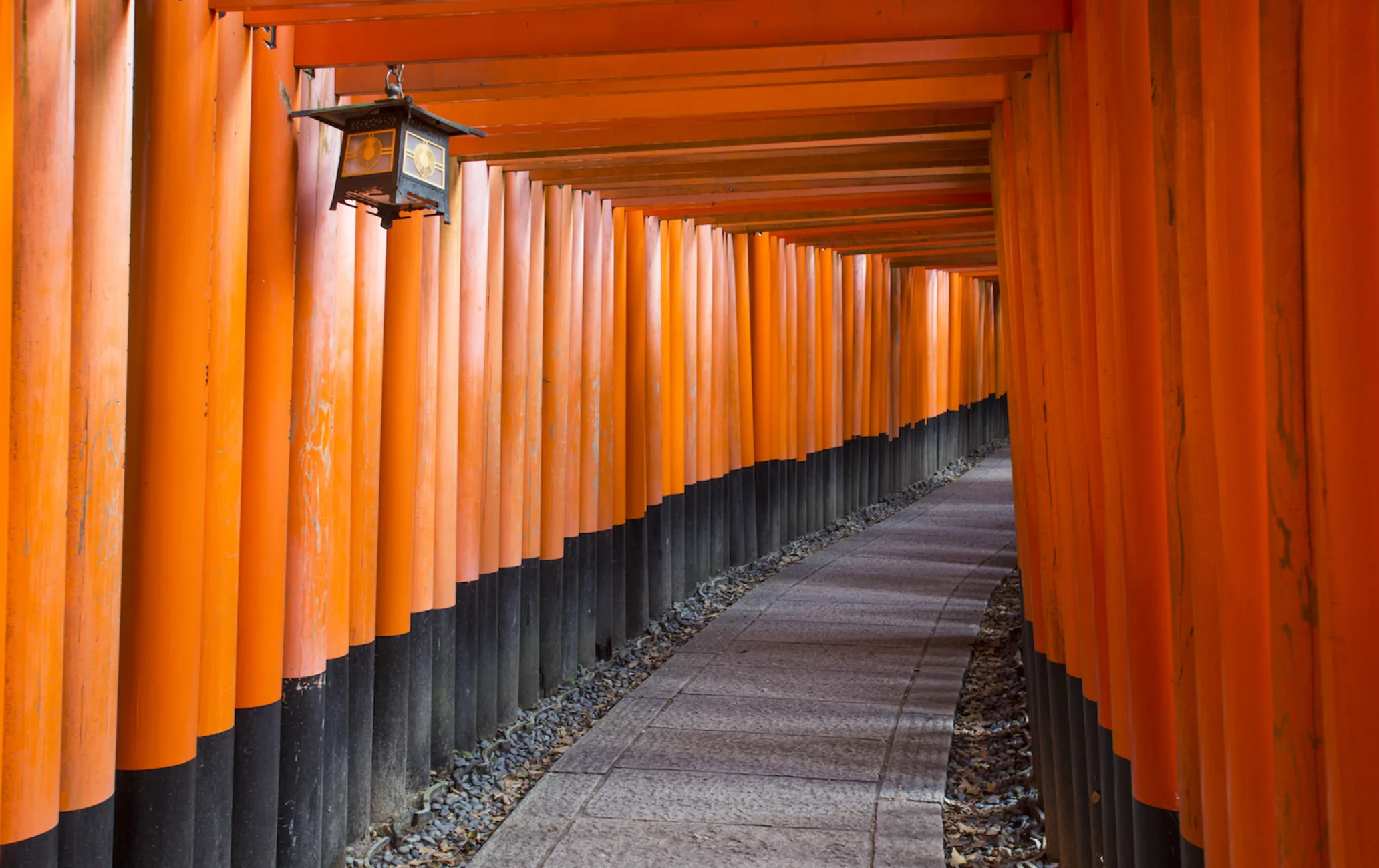 TOKYO – NÚI PHÚ SĨ - NAGOYA - KYOTO – OSAKA