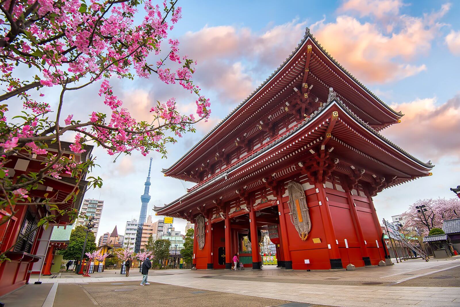 TOKYO – NÚI PHÚ SĨ - NAGOYA - KYOTO – OSAKA #5