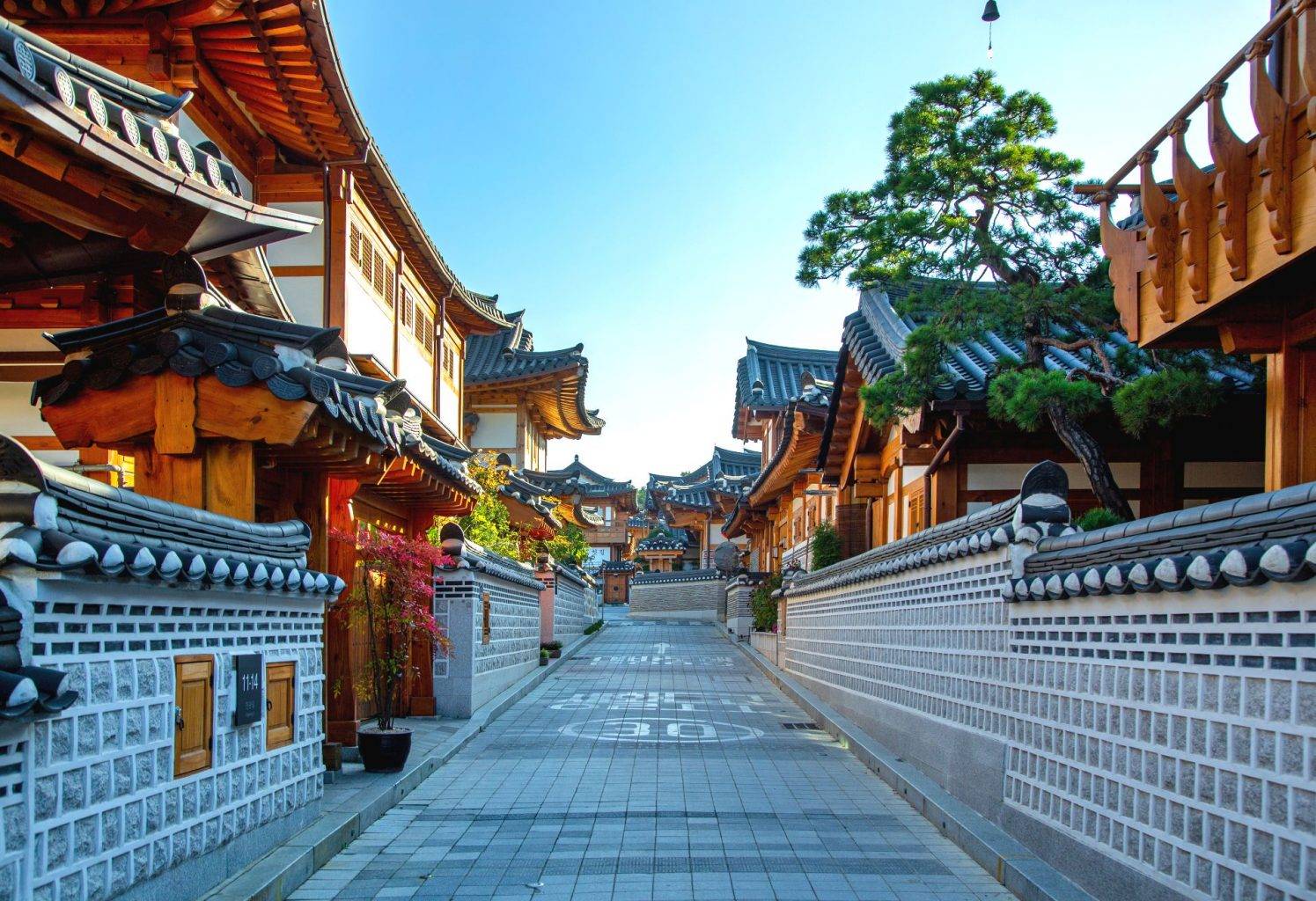 SEOUL – SAUNA – NAMI – HÁI DÂU – EVERLAND – CÔNG VIÊN YEOUIDO